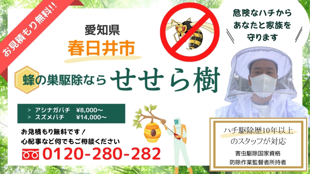 愛知県春日井市のハチ駆除ならせせら樹へお任せください